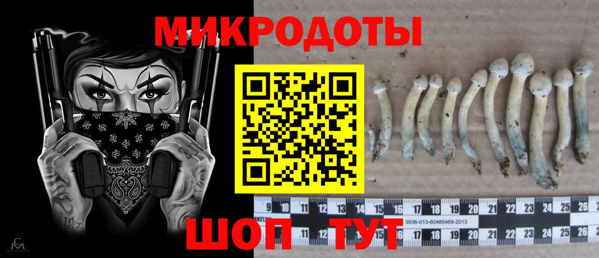 Галлюциногенные грибы Psilocybe  Псилоцибиновые грибы Magic Shrooms  Вход с VPN  Кубинка 