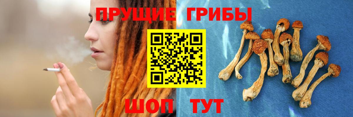 Галлюциногенные грибы мицелий Кубинка